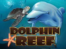 Видео-слот Dolphin Reef